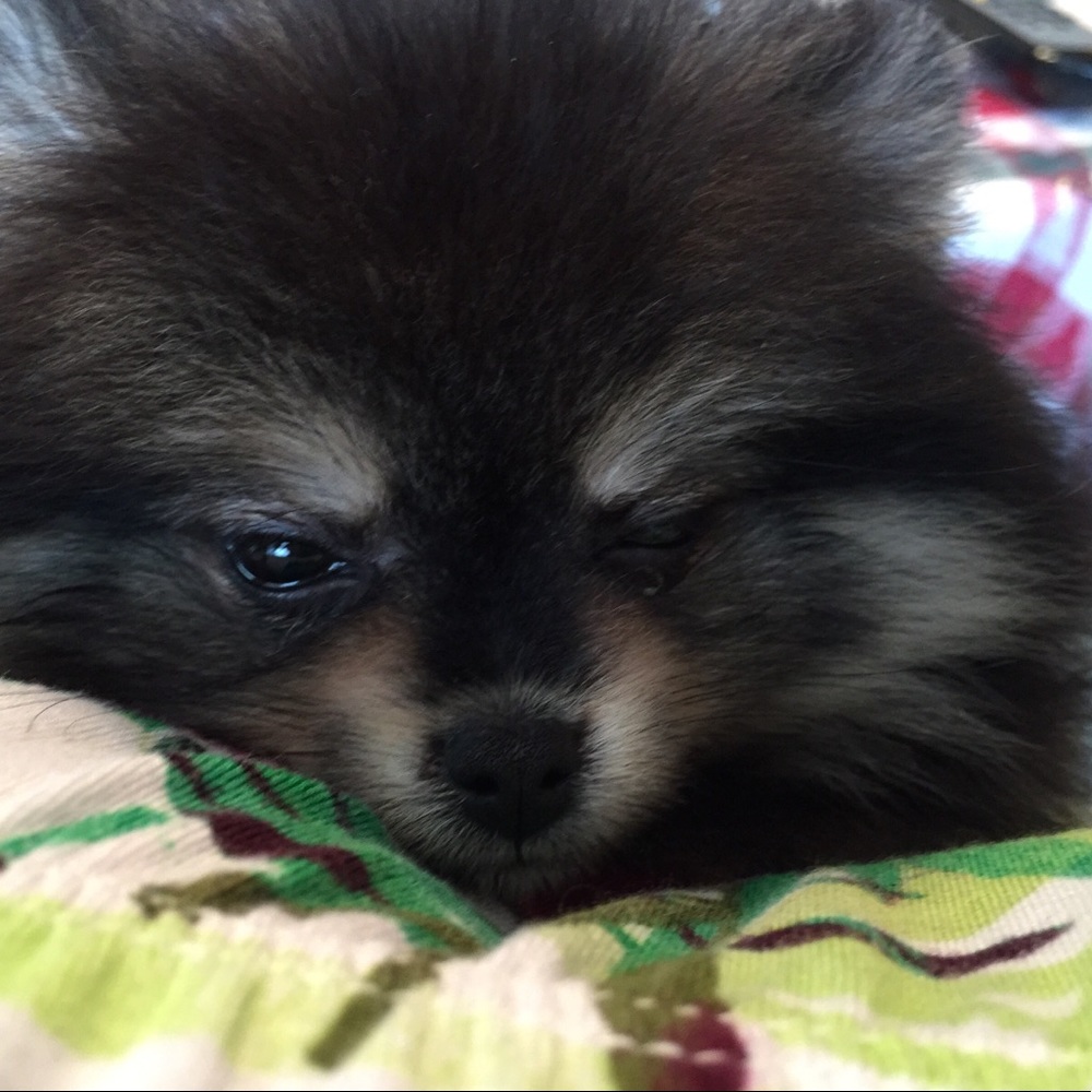 Meet your Posher, Mary